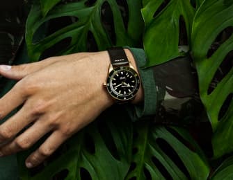 the hand with watches
